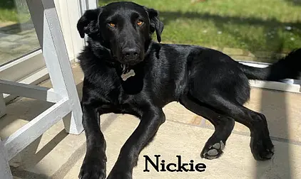 Nickie
